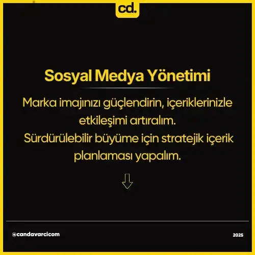 Sosyal Medya Yönetimi Can Davarcı Trusted Digital Partner